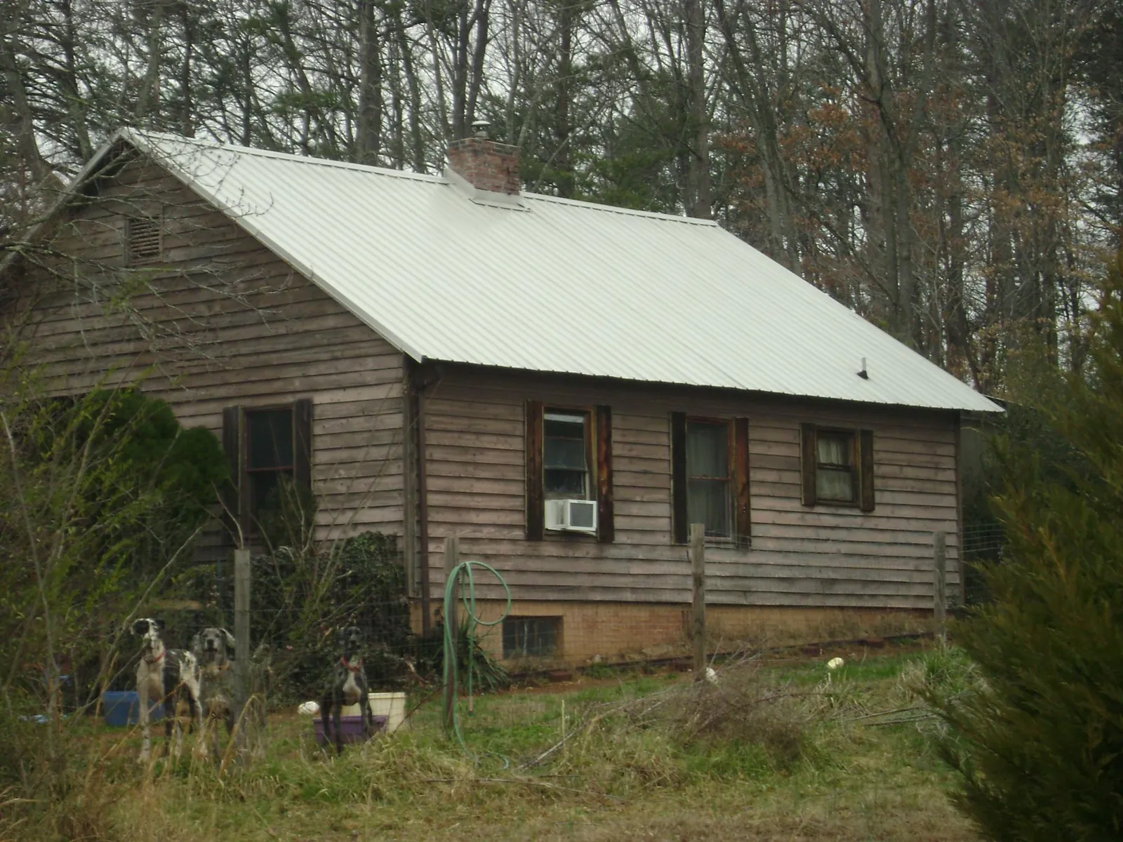 White metal roof on an old wood sided farmhouse, from a Metal Roof Installation job in Clifton Springs